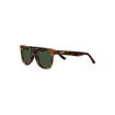 Picture of ZIPPO SUNGLASSES TORTOISESHELL